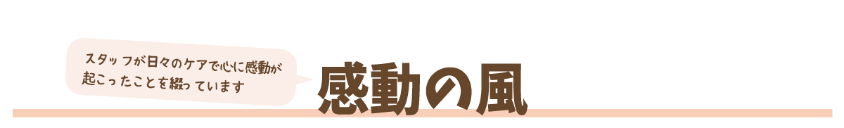 感動の風